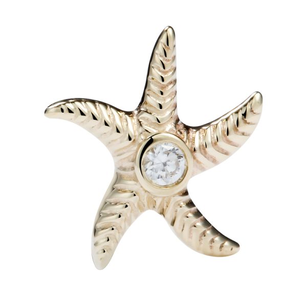 14k Solid Yellow Gold Internally Threaded Starfish End - Image 4