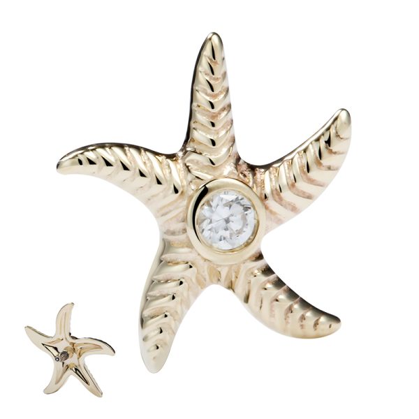 14k Solid Yellow Gold Internally Threaded Starfish End - Image 2