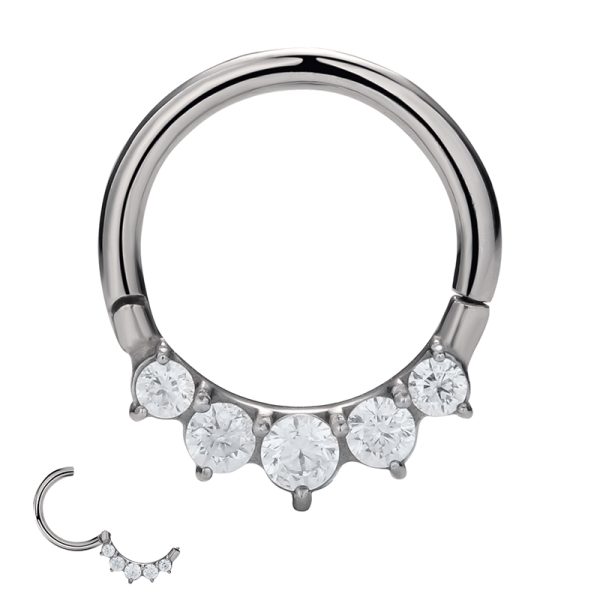 Pave Front Gemmed Prong Set Clear CZ Titanium Hinged Segment Ring - Image 2