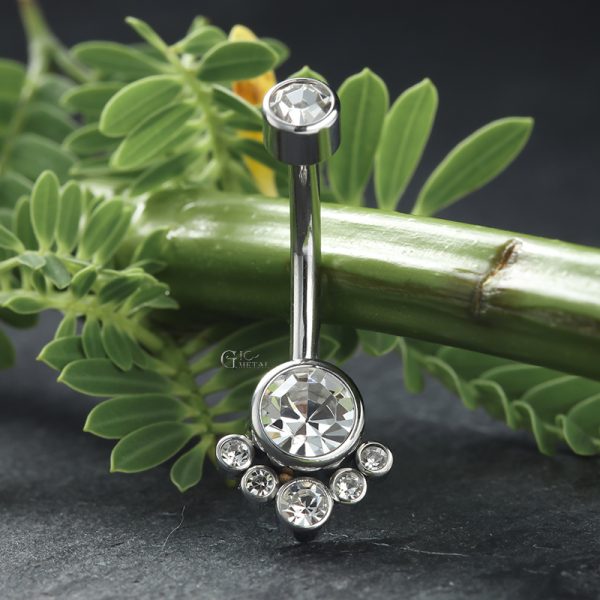 Titanium Internally Threaded Navel Ring with Gem Cluster Bottom - Image 2