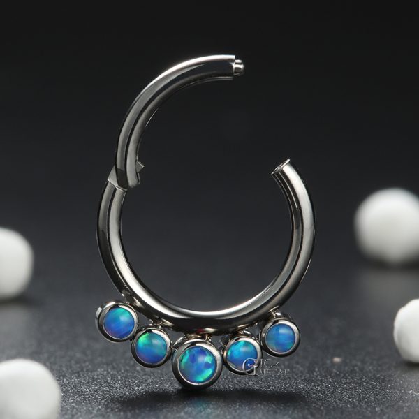 Titanium Hinged Segment Ring with Bezel Set Opal Cluster - Image 2