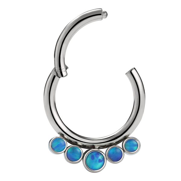 Titanium Hinged Segment Ring with Bezel Set Opal Cluster - Image 3