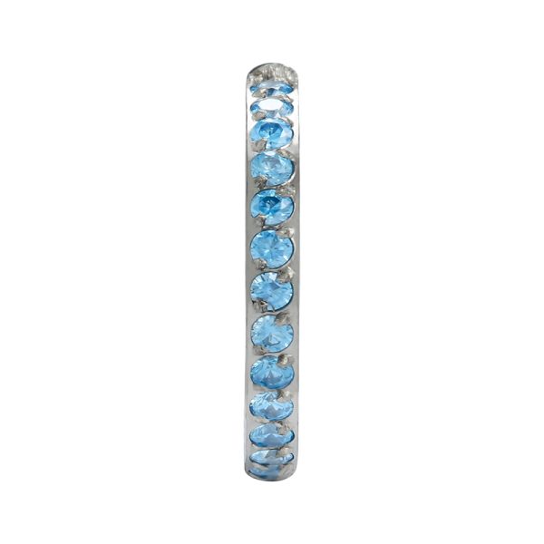 Full Side Gemmed Prong Set Blue CZ Titanium Hinged Segment Ring - Image 2