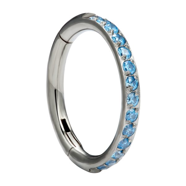 Full Side Gemmed Prong Set Blue CZ Titanium Hinged Segment Ring - Image 3