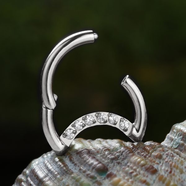 Titanium Gemmed Crecent Moon Hinged Segment Ring - Image 3