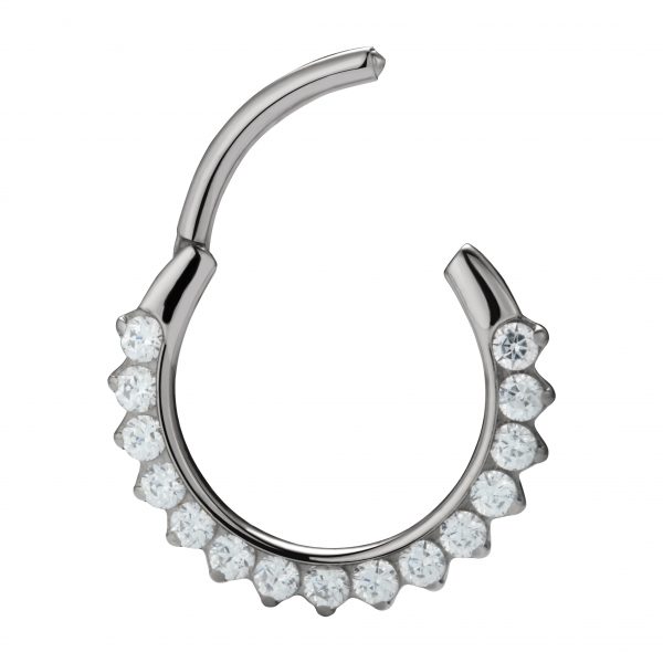 Full Front Gemmed Prong Set Clear CZ Titanium Hinged Segment Ring - Image 2