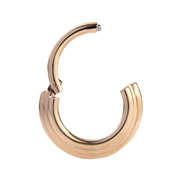 PVD Gold Titanium Hinged Septum Ring - Image 2