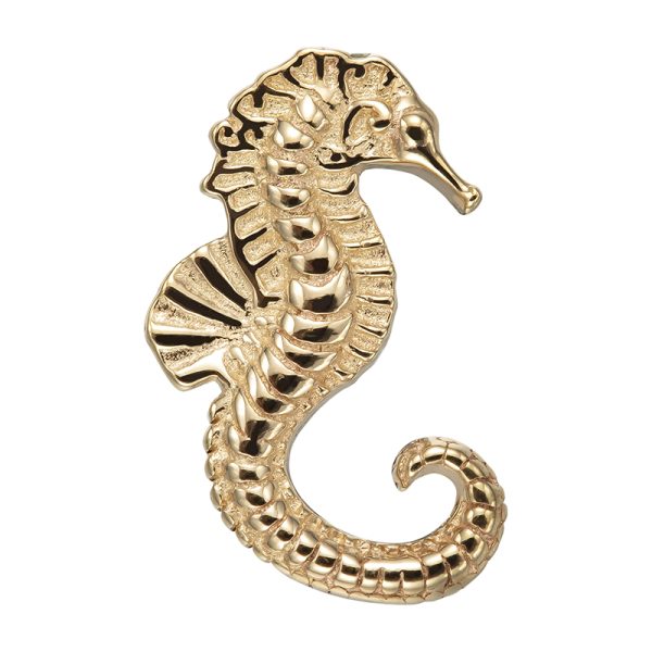 Seahorse - Image 2