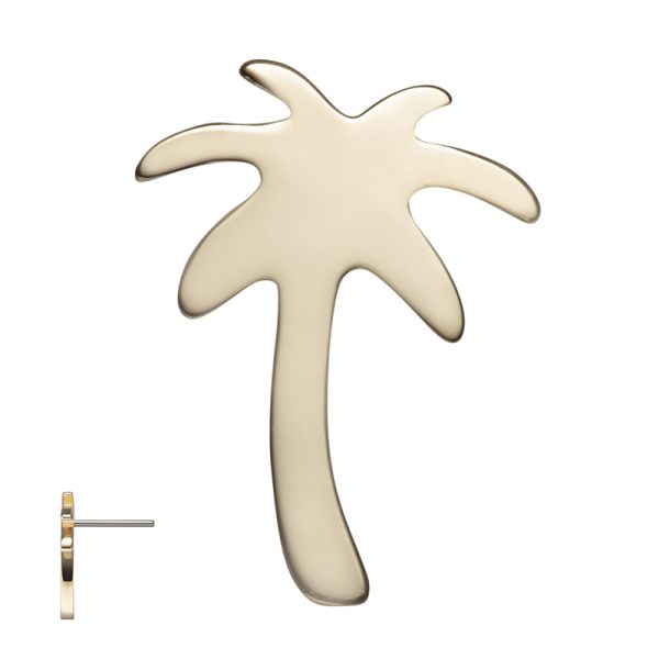 Palm Tree - Image 3